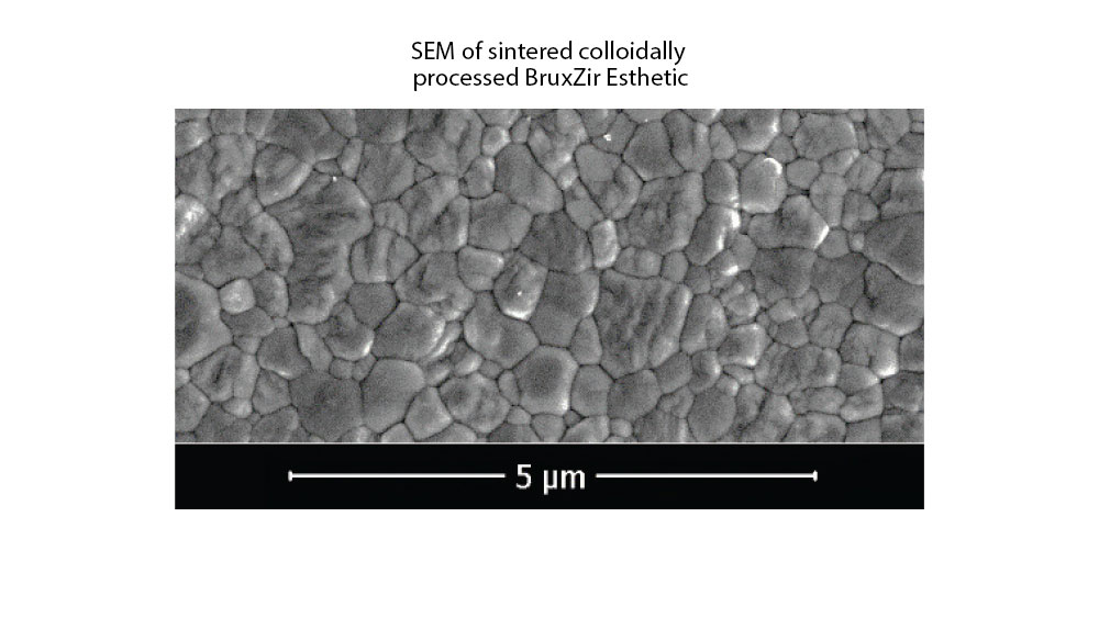 SEM of sintered collodially processed BruxZir Esthetic