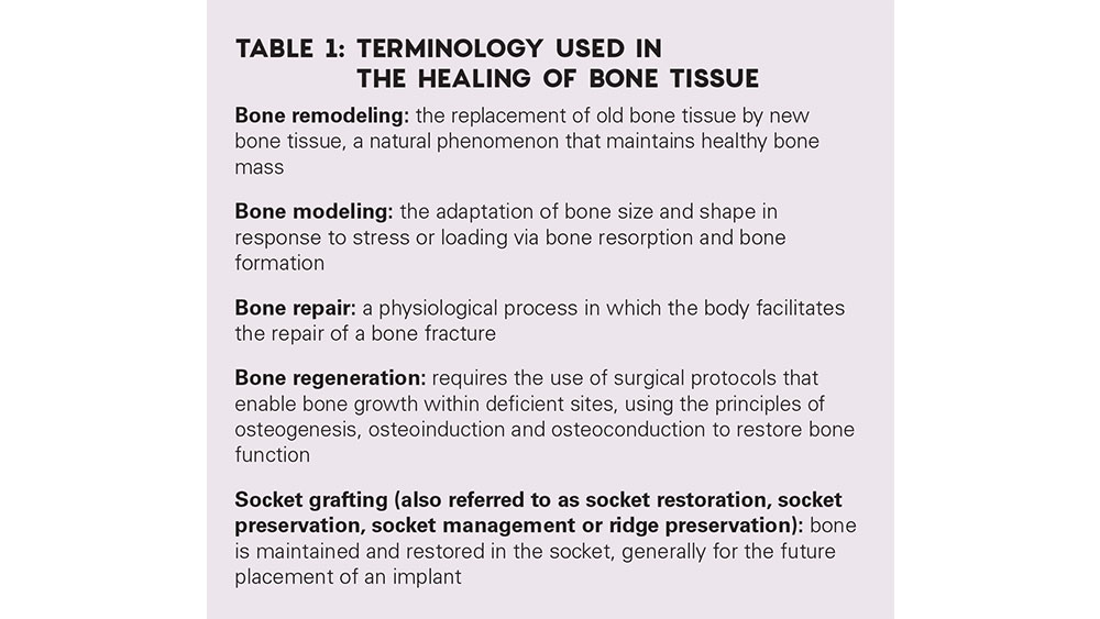 Table 1: Terminology Used in the Healing of Bone Tissue
