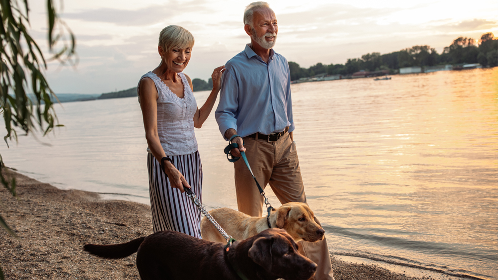 Couple Walking Dogs on Beach