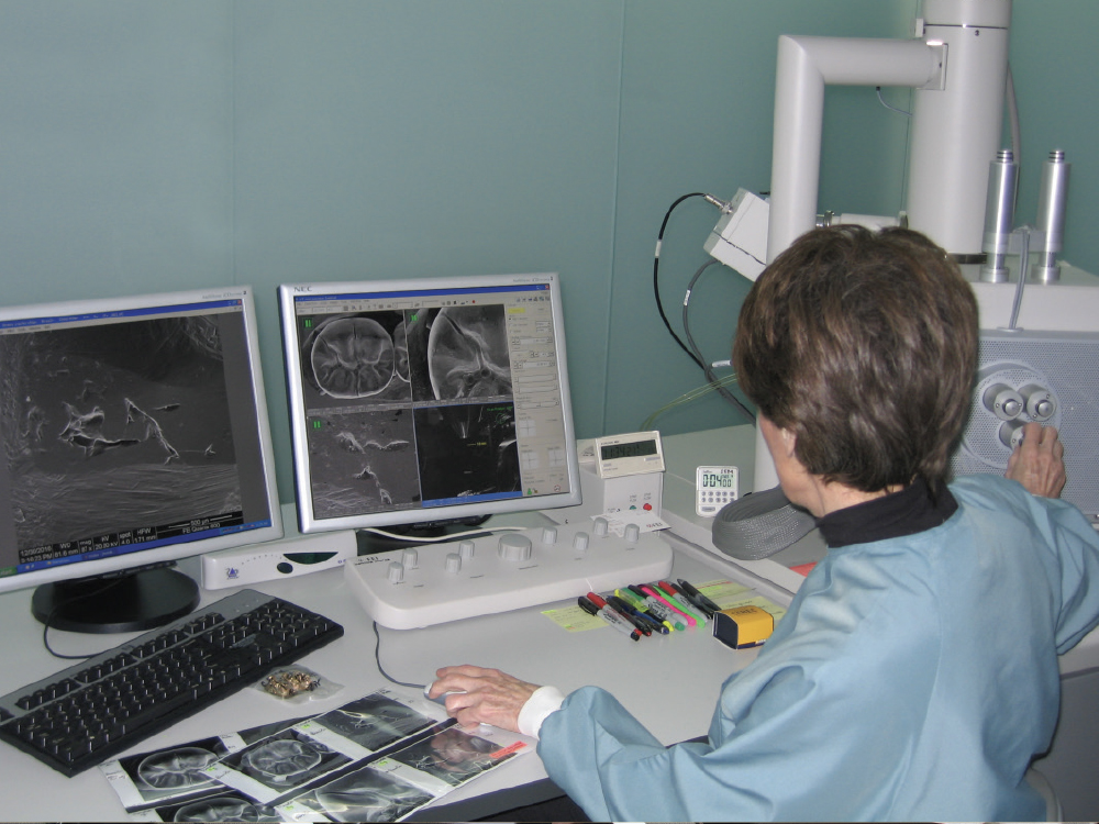 Rella CSM V16I1 Image