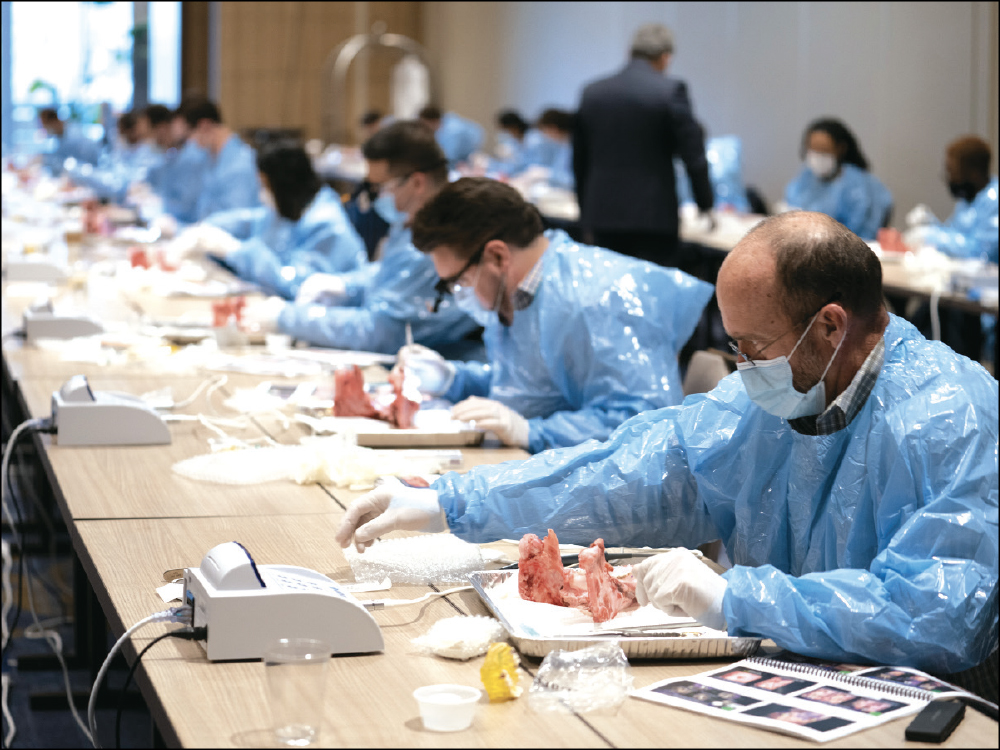Misch-Resnik Implant Institute courses image