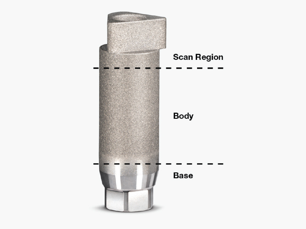 Traditional Vertical Scan Body