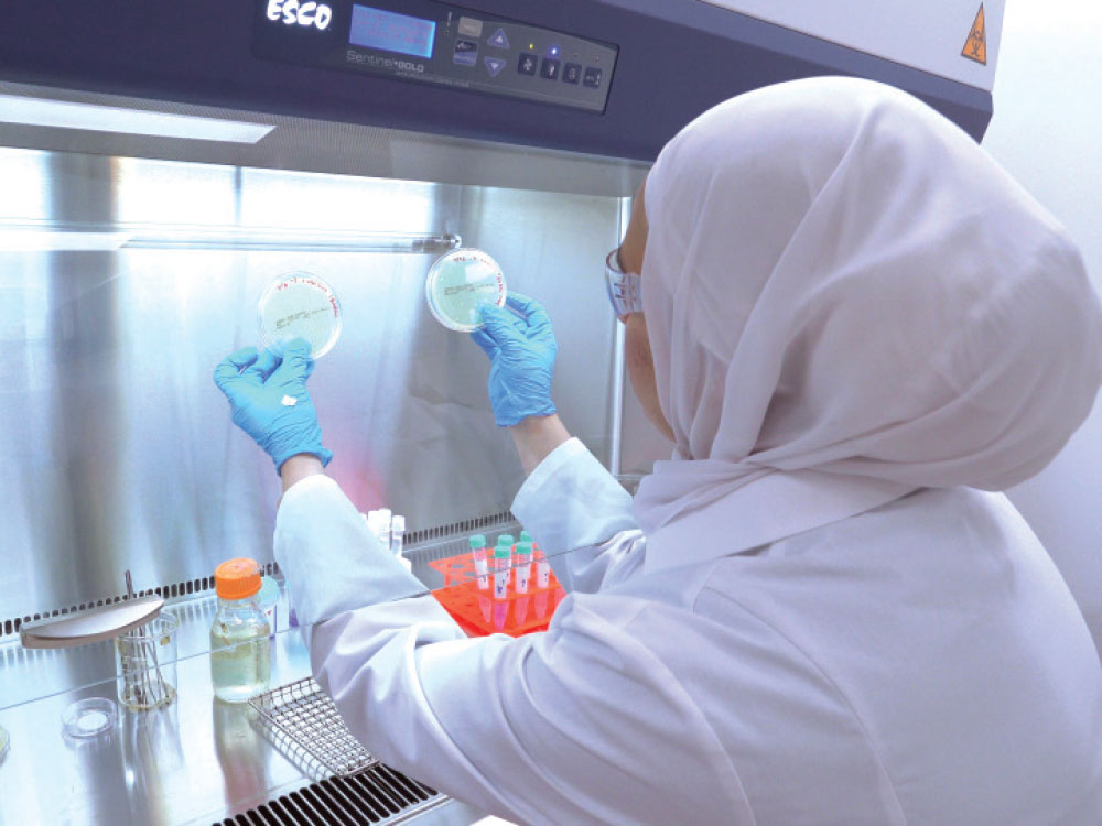 The materials science division at Glidewell