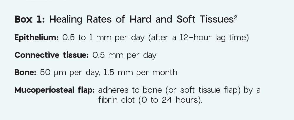 Healing Rates of Hard and Soft Tissues
