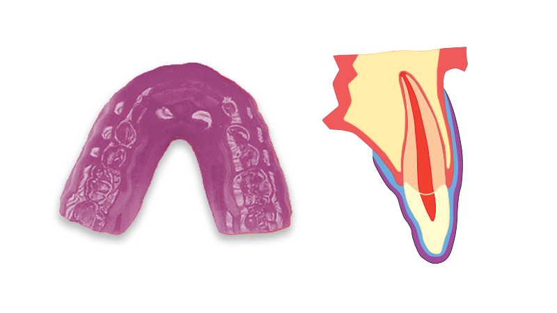 Playsafe mouthguard validations